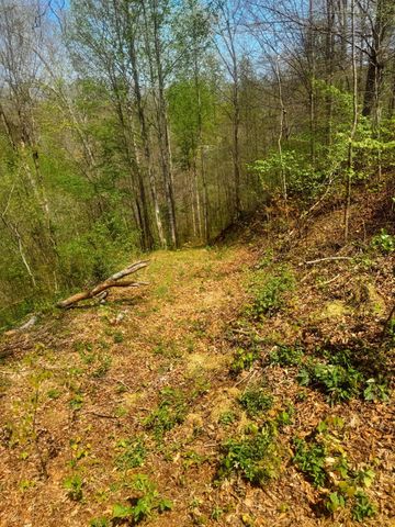 0 Holiday Haven Dr, Smithville, TN 37166