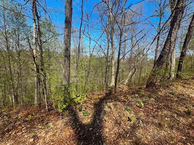 0 Holiday Haven Dr, Smithville, TN 37166
