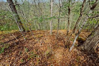 0 Holiday Haven Dr, Smithville, TN 37166