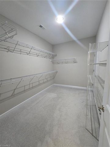 999 Woodview Ridge Trail, Lewisville, NC 27023
