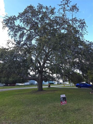 12667 SE 101ST COURT, Belleview, FL 34420