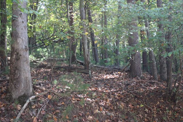 LOT 546 North Satsuma Court, Ellijay, GA 30540