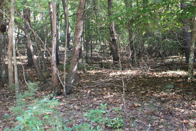 LOT 546 North Satsuma Court, Ellijay, GA 30540