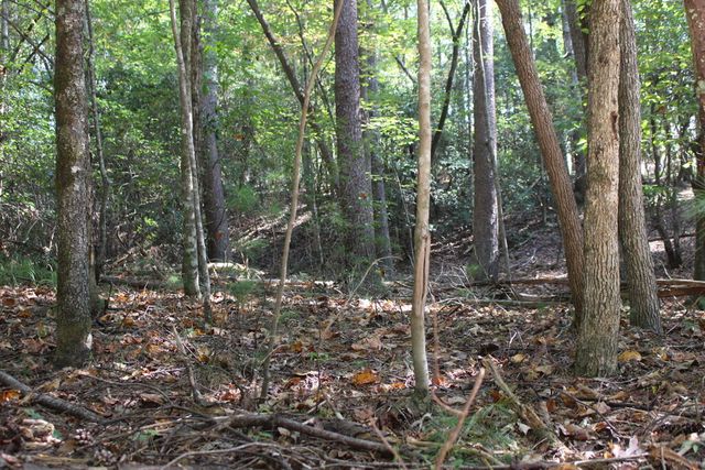 LOT 546 North Satsuma Court, Ellijay, GA 30540