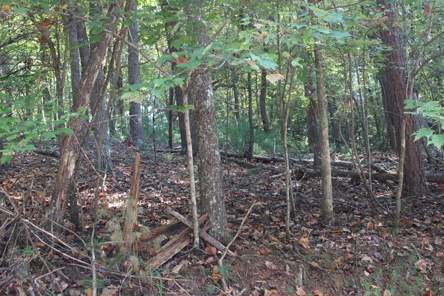 LOT 546 North Satsuma Court, Ellijay, GA 30540