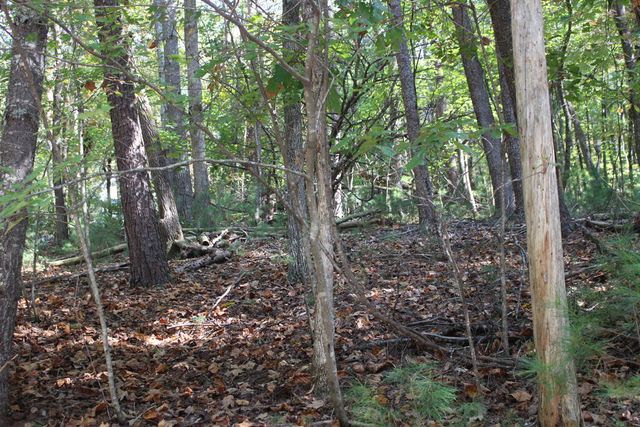 LOT 546 North Satsuma Court, Ellijay, GA 30540