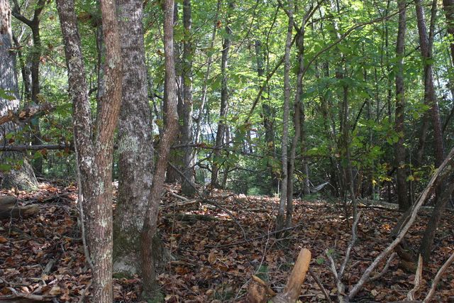 LOT 546 North Satsuma Court, Ellijay, GA 30540