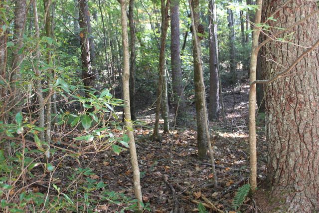 LOT 546 North Satsuma Court, Ellijay, GA 30540
