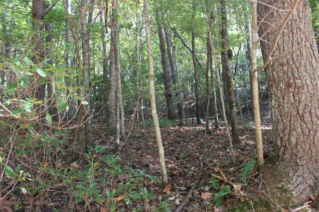 LOT 546 North Satsuma Court, Ellijay, GA 30540