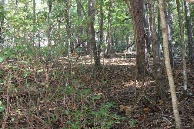 LOT 546 North Satsuma Court, Ellijay, GA 30540