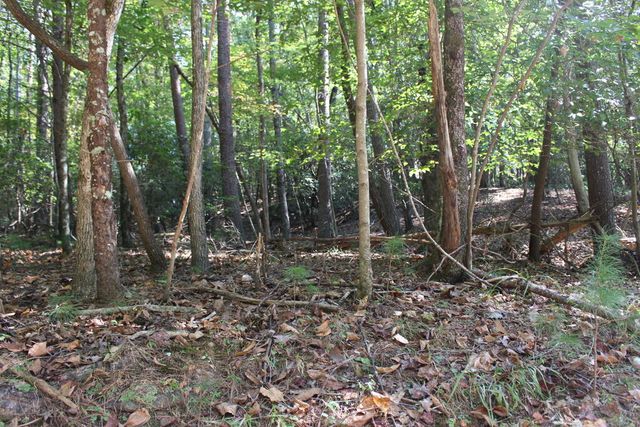 LOT 546 North Satsuma Court, Ellijay, GA 30540