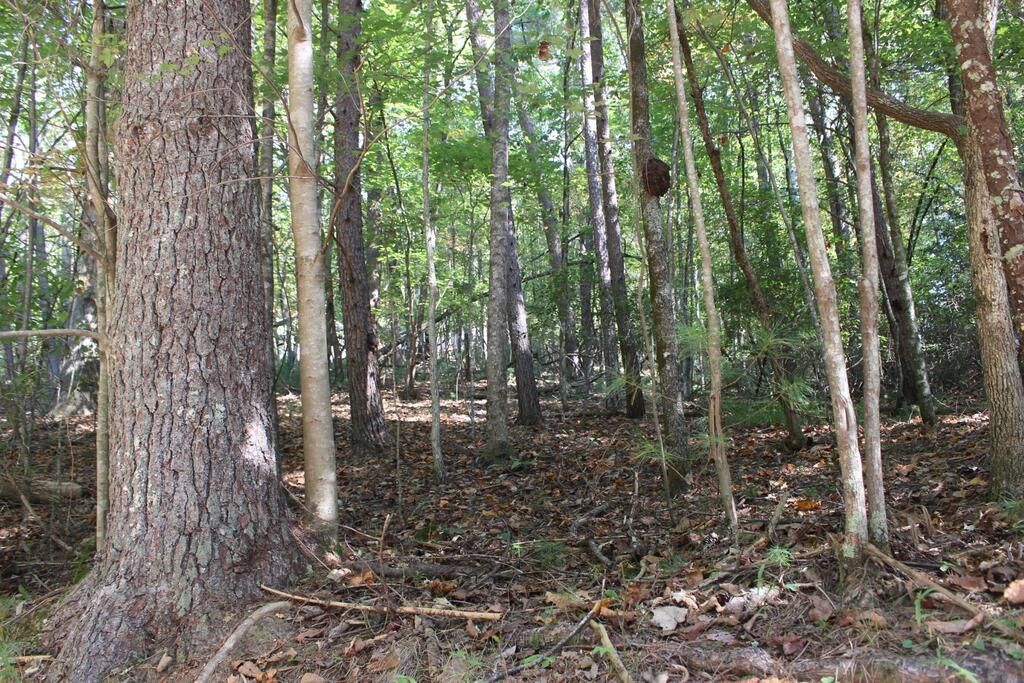 LOT 546 North Satsuma Court, Ellijay, GA 30540