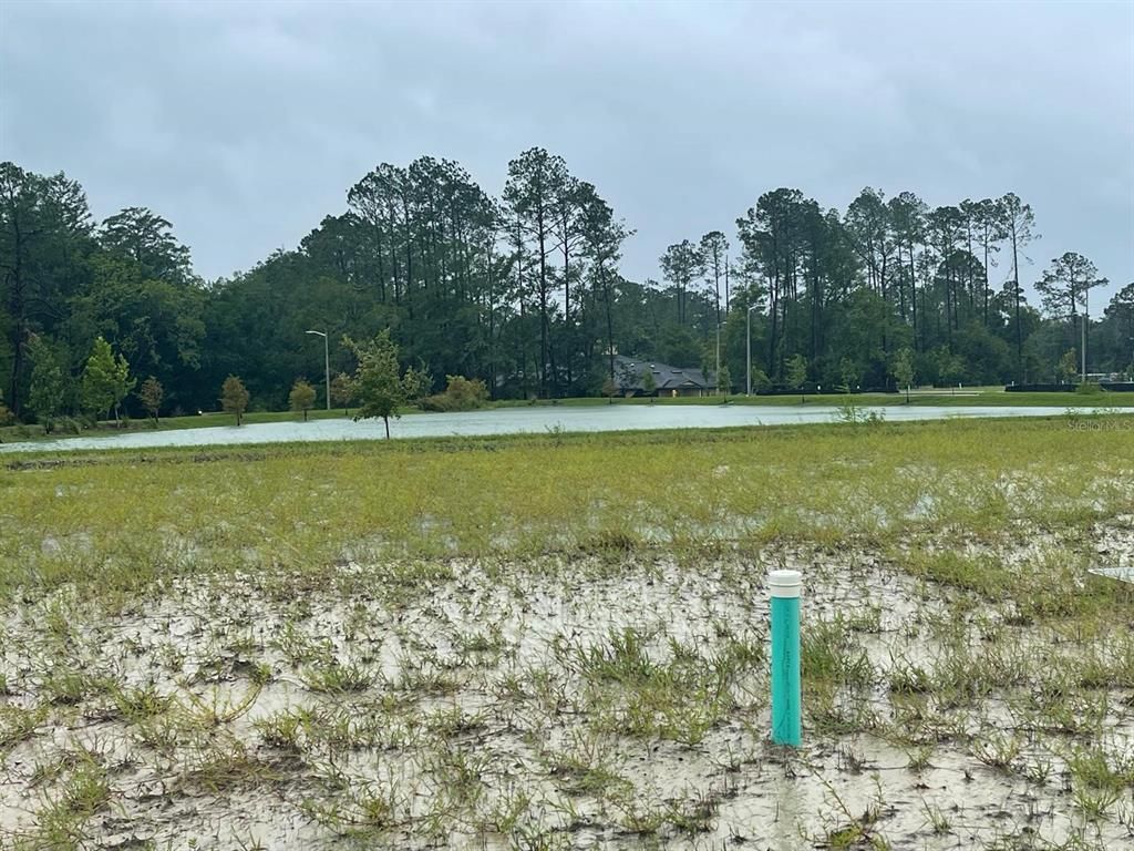 Image 1 of property listing at Nw 21st Way, Gainesville, FL 32653