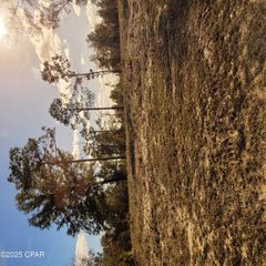 TBD Sunny Hills Boulevard, Chipley, FL 32428