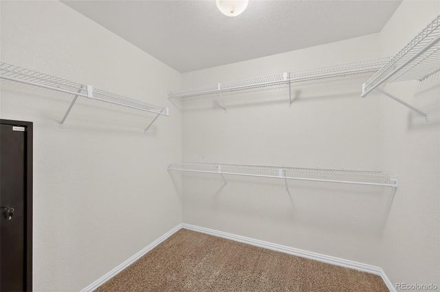 9590 S Everett Way, Littleton, CO 80127