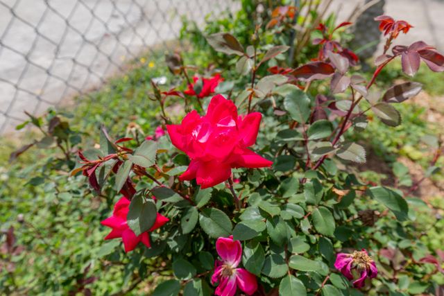 513 W Gordon Avenue, Rossville, GA 30741