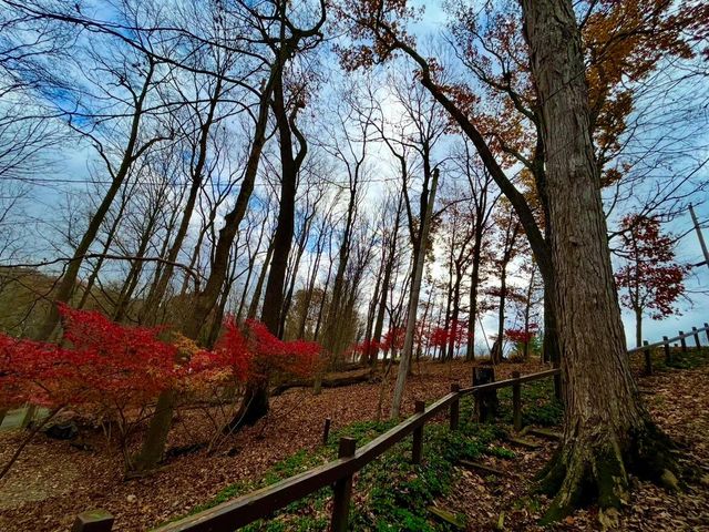 505 Natchez Lane, Sugar Grove, OH 43155