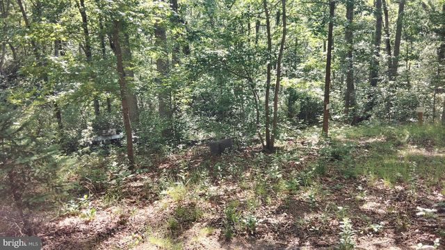 13025 THUNDER RD, King George, VA 22485