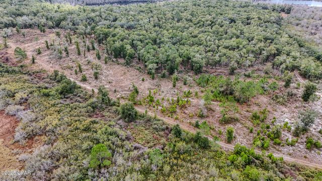 - Pine Log Road, Chipley, FL 32428