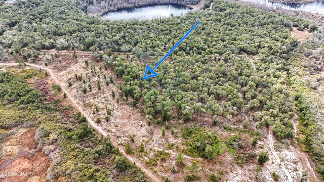 - Pine Log Road, Chipley, FL 32428
