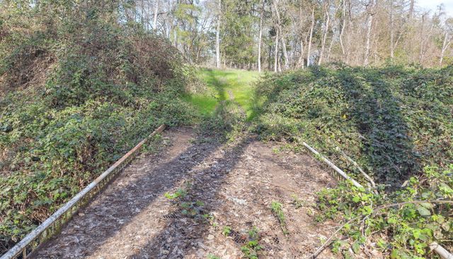 444 Sheraton Drive, Williams, OR 97544