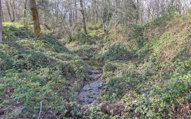 444 Sheraton Drive, Williams, OR 97544