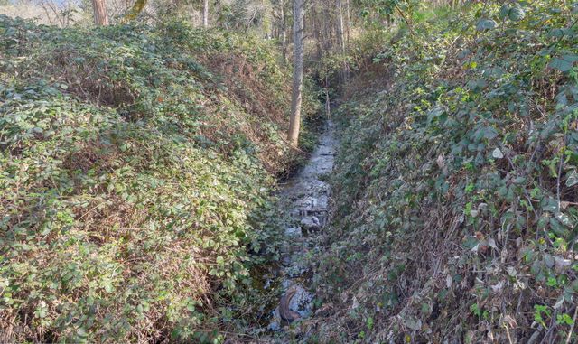 444 Sheraton Drive, Williams, OR 97544