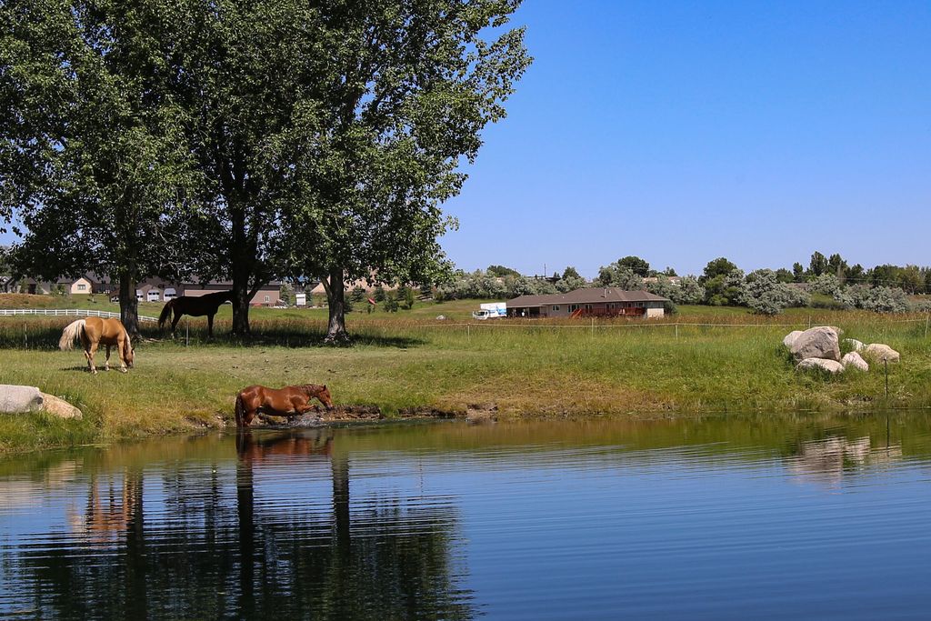 2899 Big Horn Avenue, Sheridan, WY 82801 photo 129