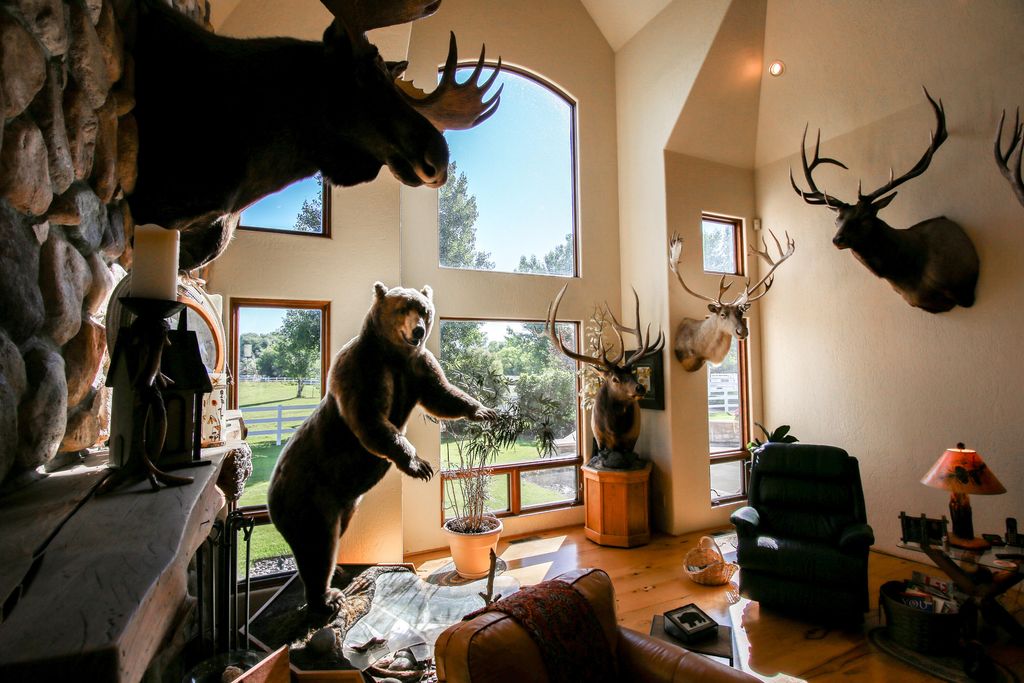 2899 Big Horn Avenue, Sheridan, WY 82801 photo 24