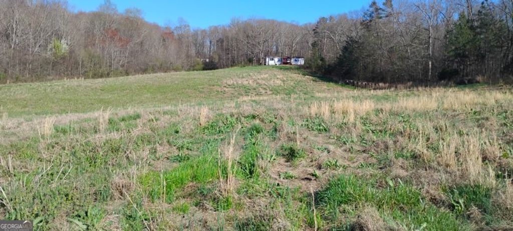 2331 Kesler Road, Carnesville, GA 30521 — photo 3