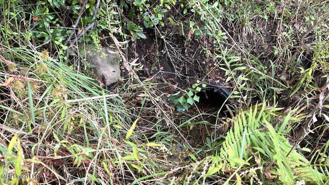 4410 +8150 Michigan Avenue, Gulfport, MS 39501