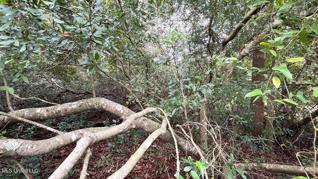 4410 +8150 Michigan Avenue, Gulfport, MS 39501