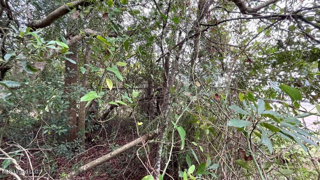 4410 +8150 Michigan Avenue, Gulfport, MS 39501