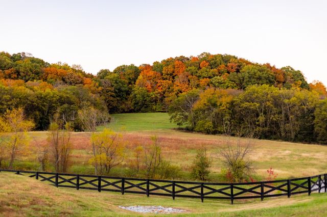 2009 Vista Creek Ln, Franklin, TN 37064