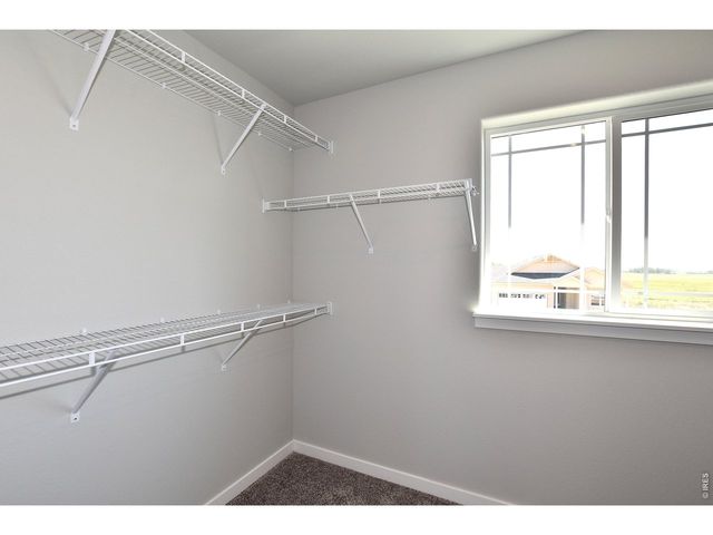 1102 Crown Sparrow St, Johnstown, CO 80534