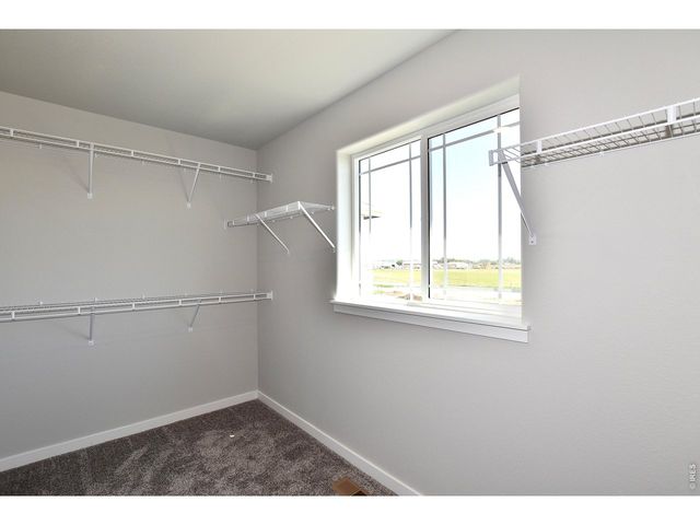 1102 Crown Sparrow St, Johnstown, CO 80534
