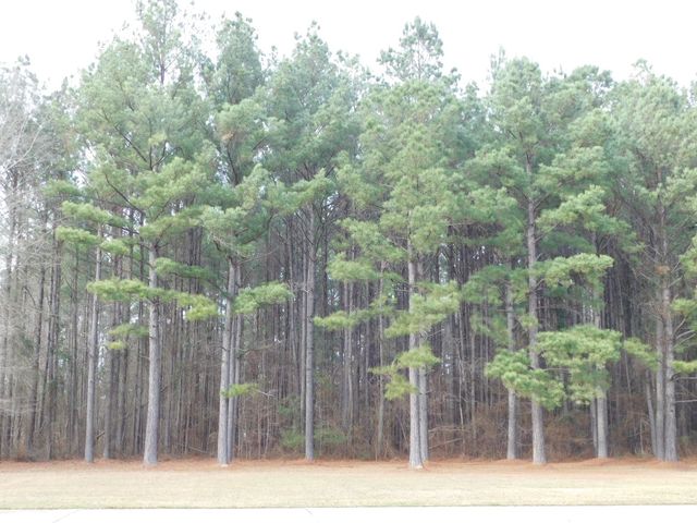 25707 HIGHWAY 371, Sarepta, LA 71071