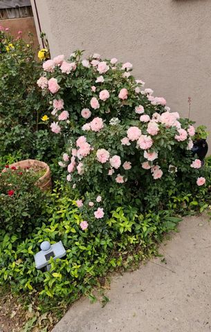 916 Calle Carmilita, Santa Fe, NM 87505