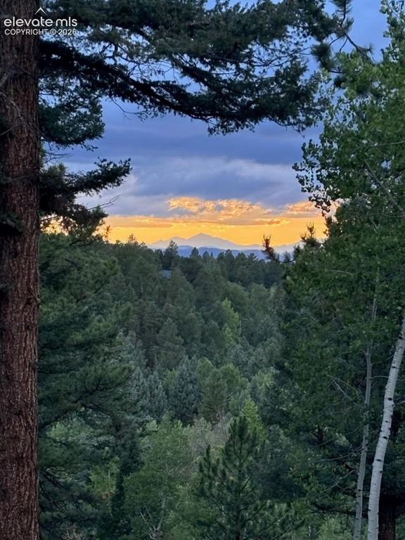 138 Valley Crest Circle, Florissant, CO 80816 — photo 2