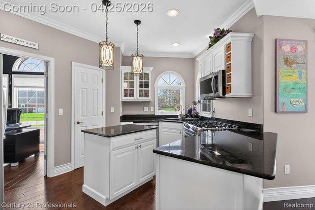 163 W Auburn Trail, Brighton, MI 48114