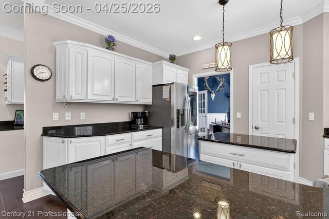 163 W Auburn Trail, Brighton, MI 48114