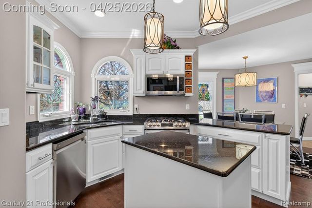 163 W Auburn Trail, Brighton, MI 48114