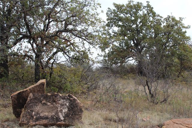 TBD County Road 206, Breckenridge, TX 76424