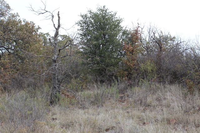 TBD County Road 206, Breckenridge, TX 76424