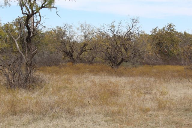 TBD County Road 206, Breckenridge, TX 76424