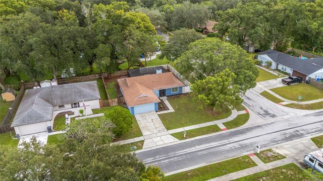 17717 CRANBROOK DRIVE, Lutz, FL 33549
