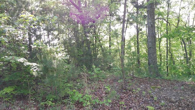 Lot 8 Fain Peak, Murphy, NC 28906