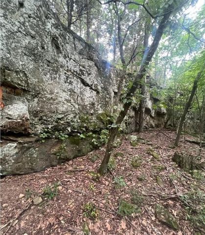 10397 Mortensen Road, Lincoln, AR 72744