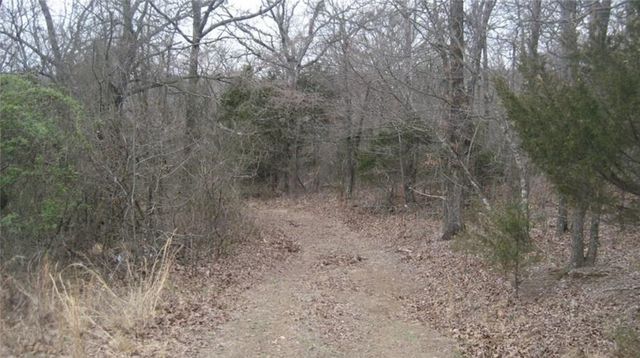 10397 Mortensen Road, Lincoln, AR 72744