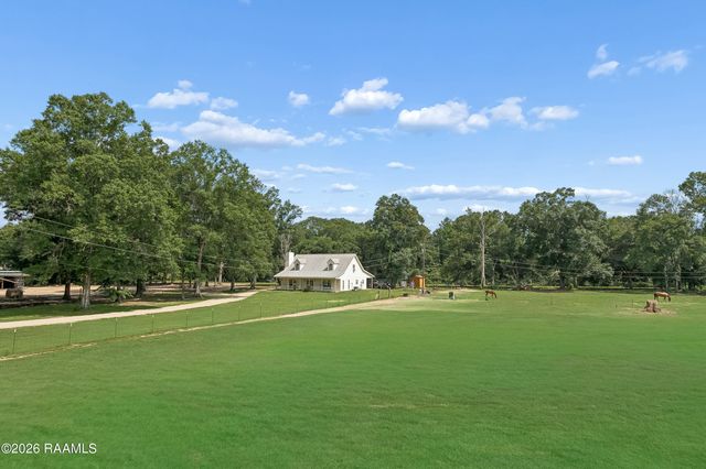 13392 Black Cat Road, Tickfaw, LA 70466